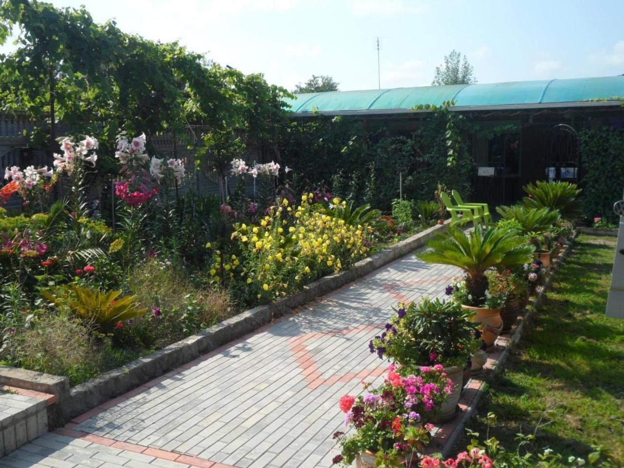 Galina Guest House Alakhadzi Exterior photo